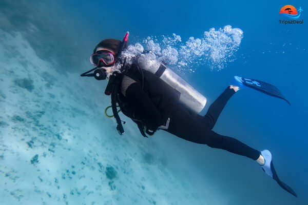 Discover Scuba Diving from Safaga Port