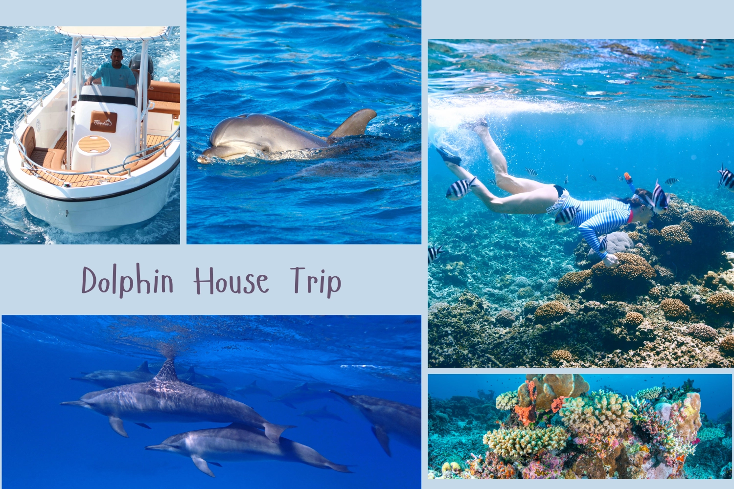 Hurghada: Dolphin-Watching Cruise with Snorkeling And Lunch