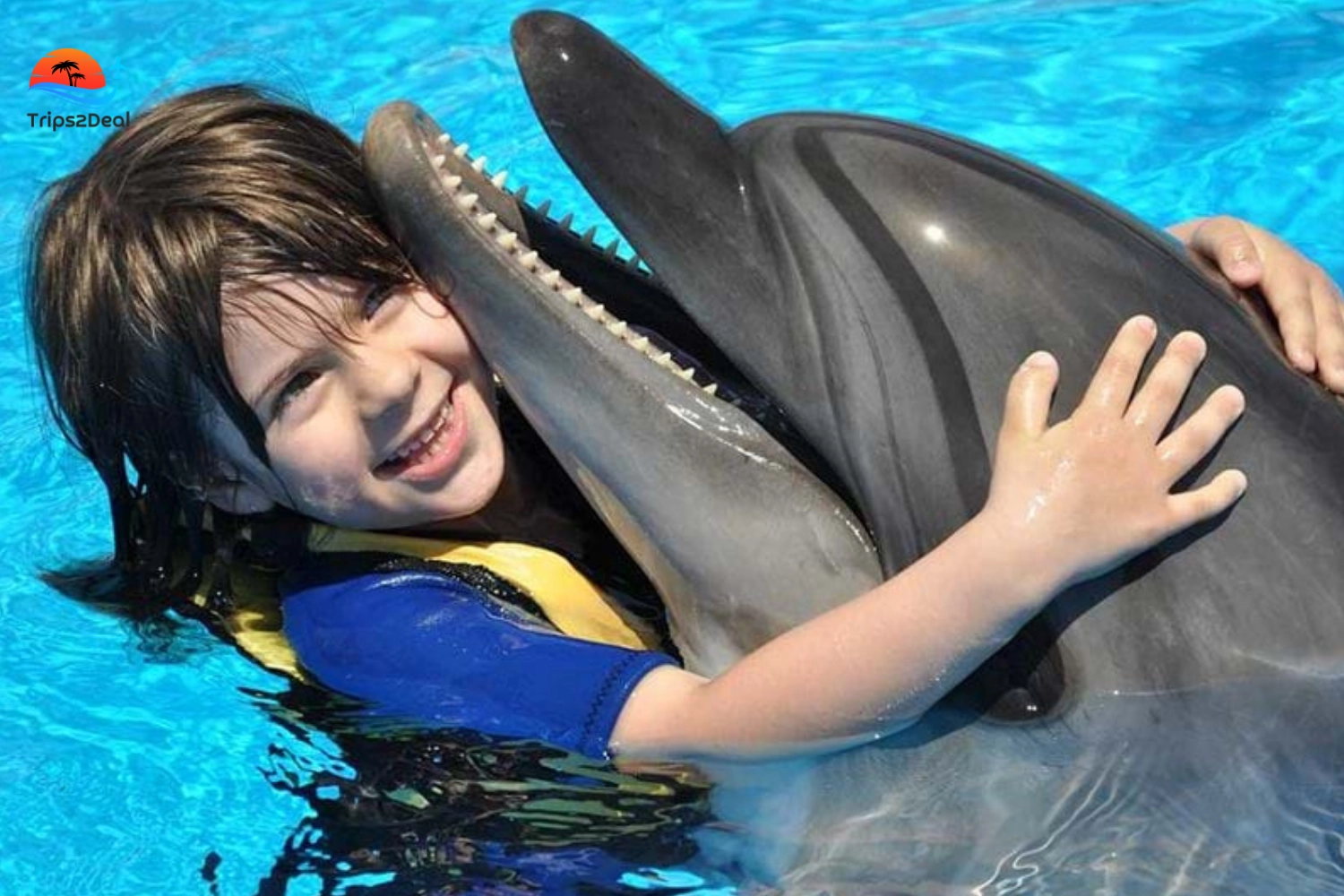 Часовое шоу в Dolphin World с трансфером из отеля