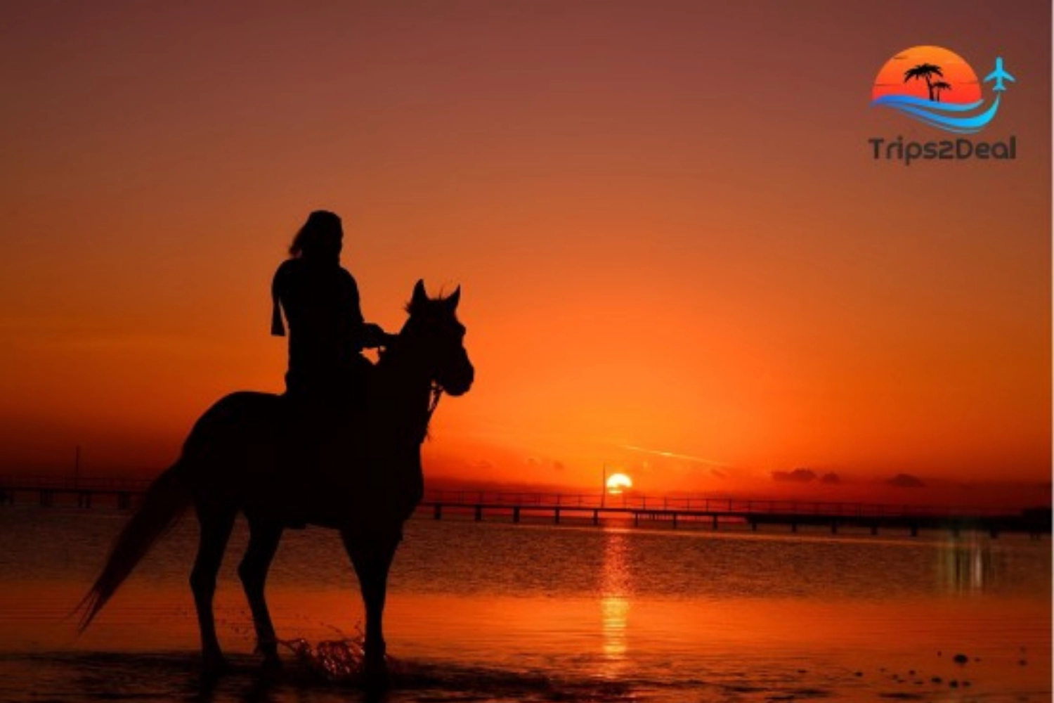 Hurghada: Horse Riding Trip with Swimming