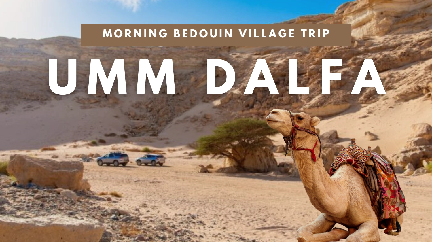 Trip to Umm Dalfa Bedouin Village in  Morning