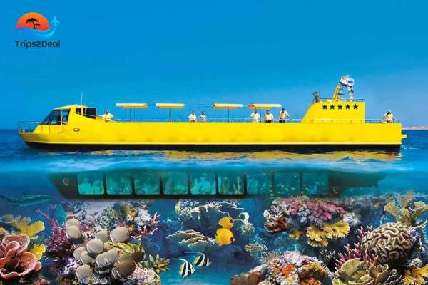 Excursion sous-marine Sea Scope