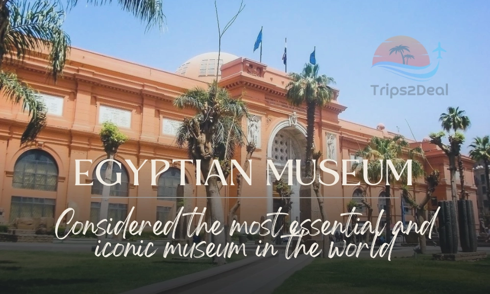 The Egyptian Museum