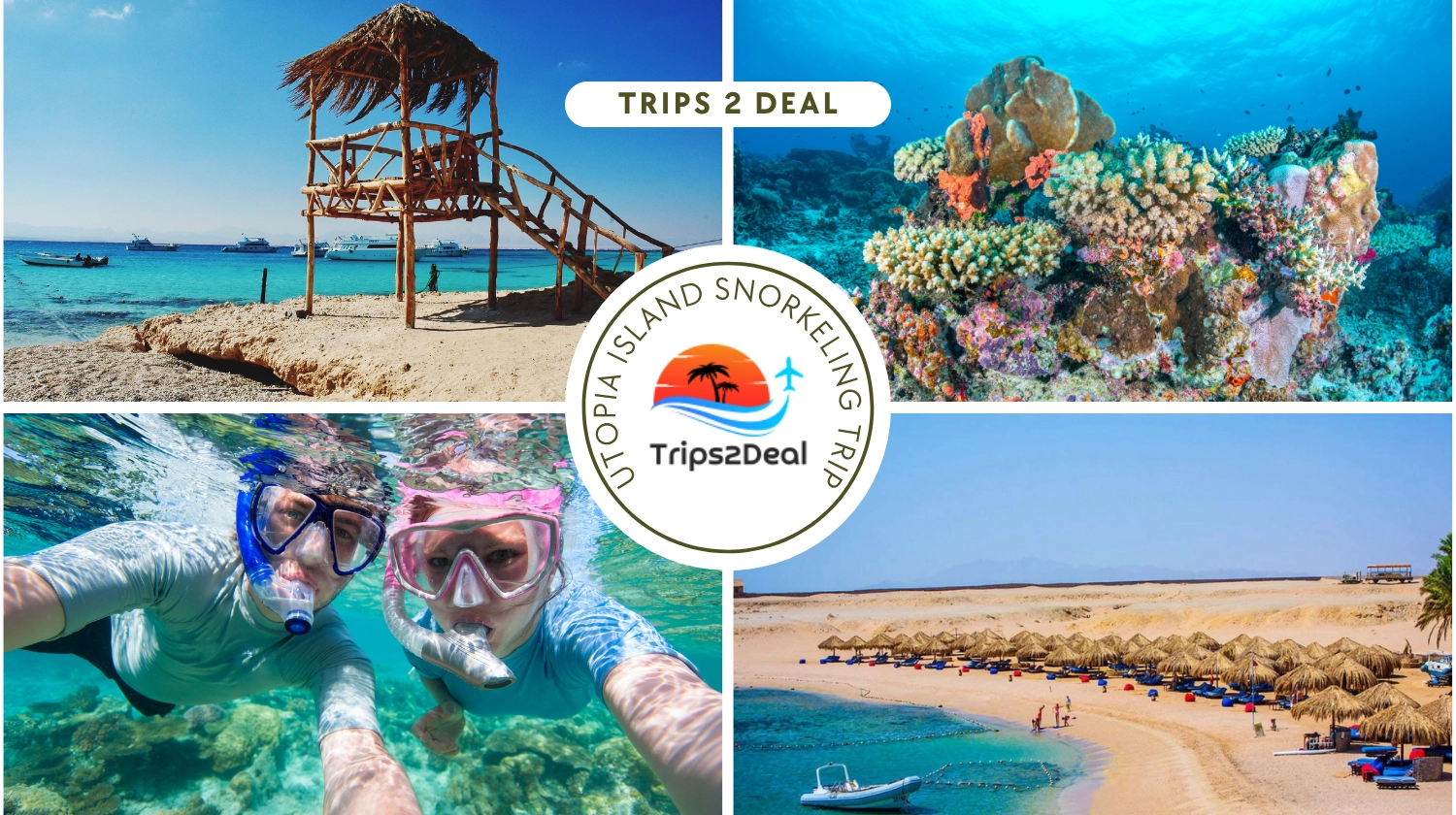 Journée complète de plongée en apnée sur l'île d'Utopia au départ d'Hurghada