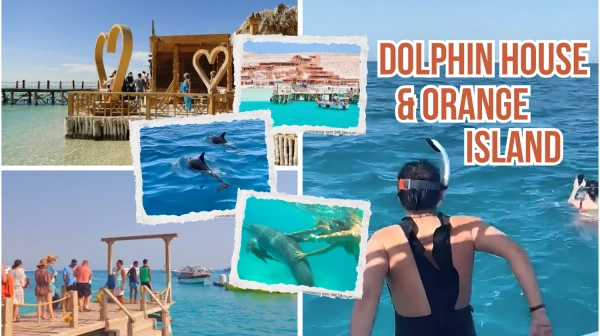 Excursion en hors-bord à l'île Orange et au Dolphin House