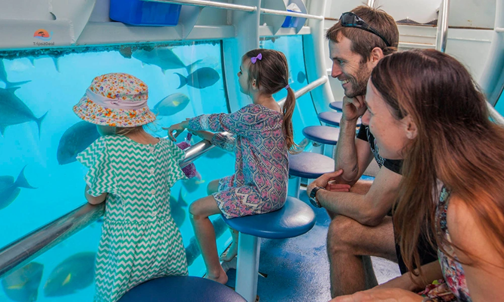 Semi-submarine with family