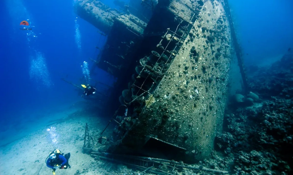 SS Thistlegorm history
