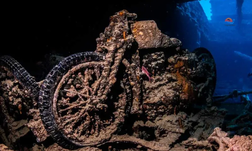SS Thistlegorm World War II Cargo