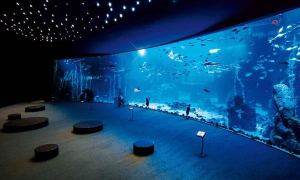 Hurghada Grand Aquarium environment of the Red Sea