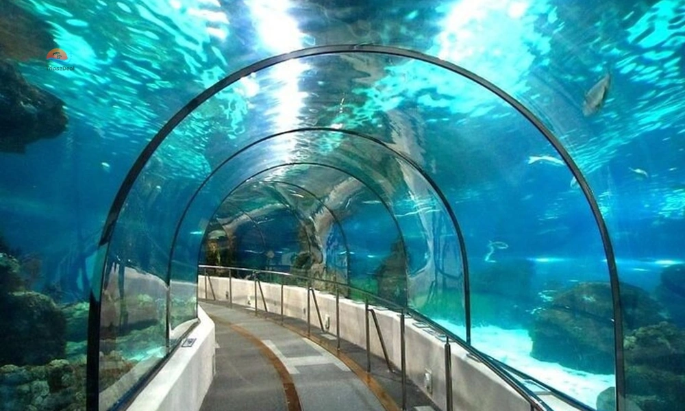 Hurghada Grand Aquarium what inside
