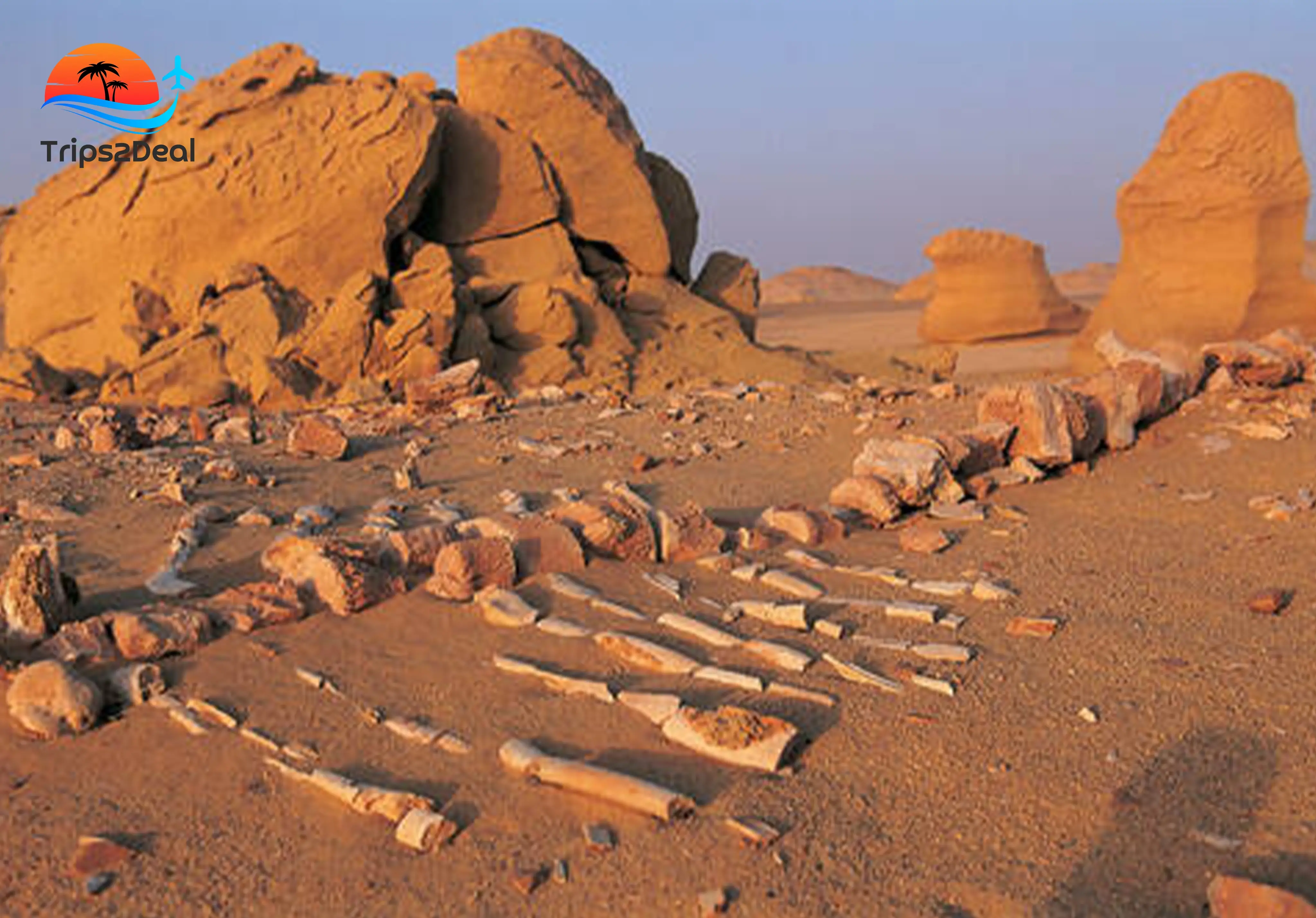 Экскурсия в Вади Эль Хитан и пустыню из Каира