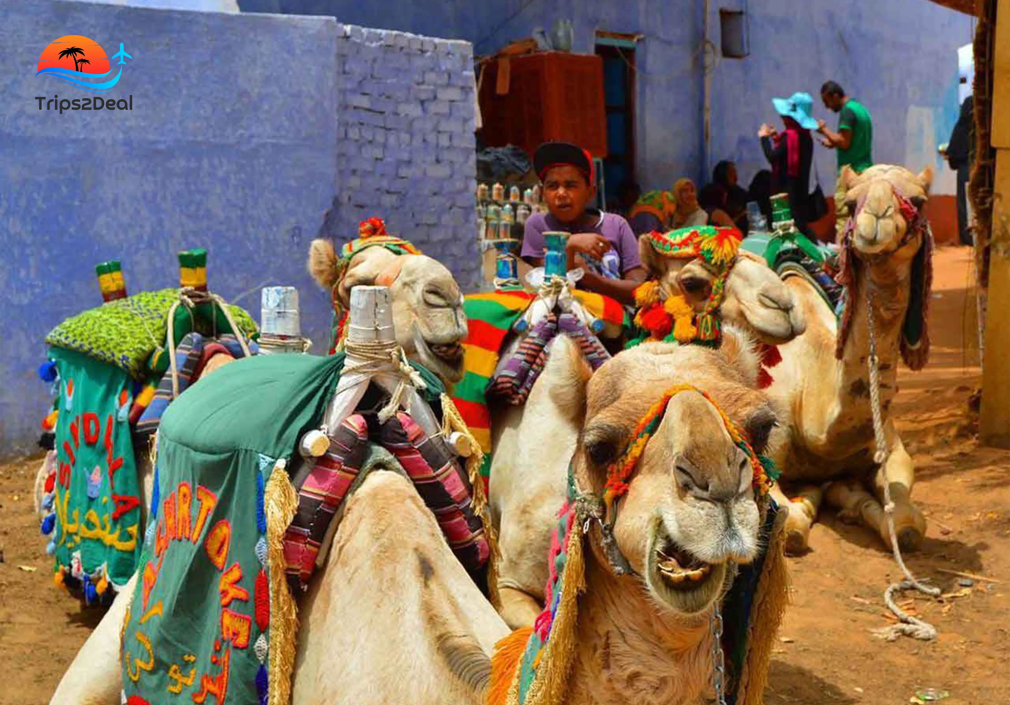 Послеобеденный тур на квадроциклах с посещением горы Эхо из Шарм-эль-Шейха