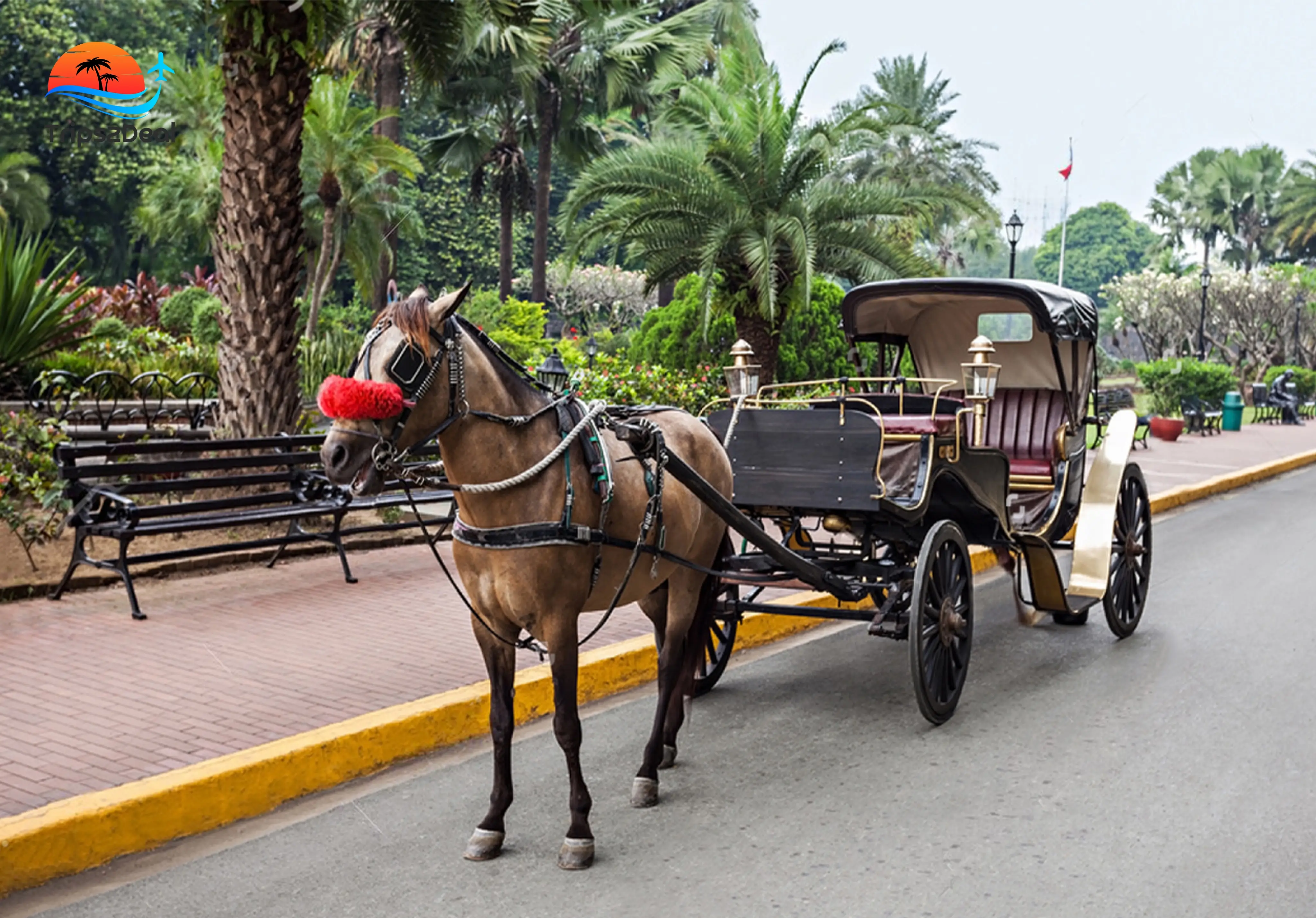 Paseo en coche de caballos por Asuán