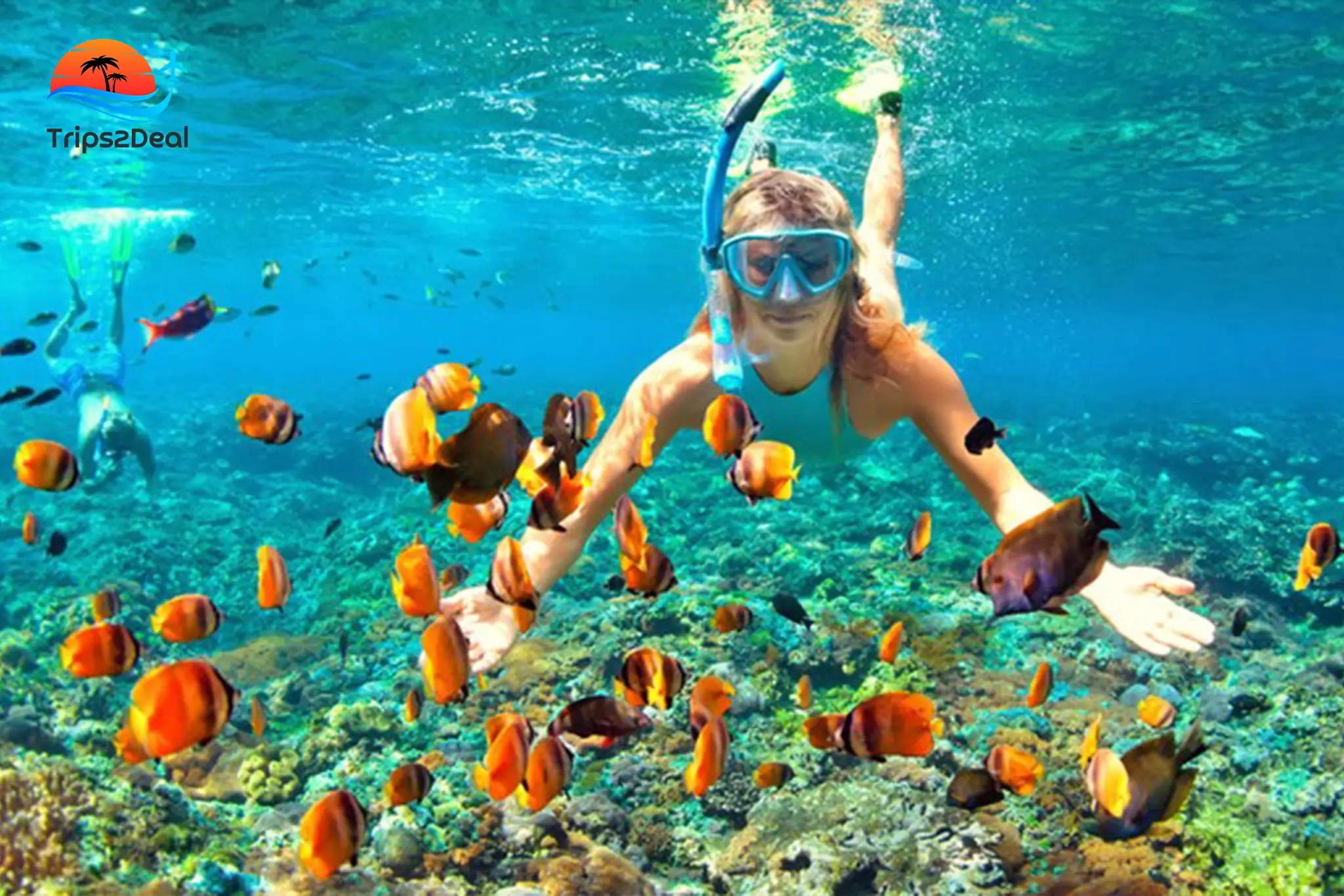 Semi Submarine and Coral Reef Snorkeling Tour in Marsa Alam