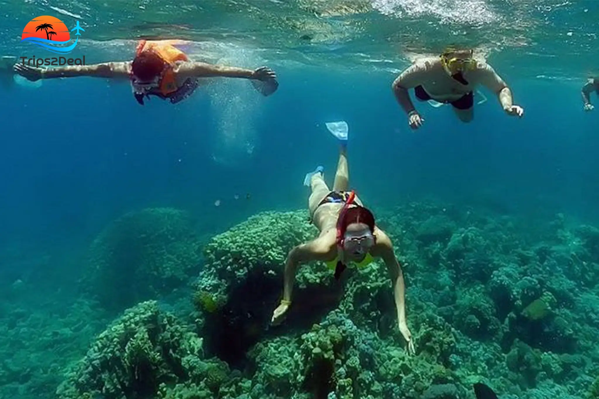 Mubarak Sea Snorkeling Boat Trip in Marsa Alam