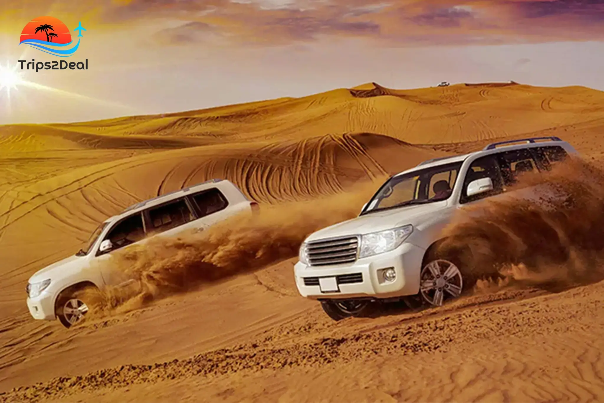 ЭКСКУРСИИ ПО ПУСТЫНЕ НА ДЖИПАХ ИЗ МАРСА АЛАМА