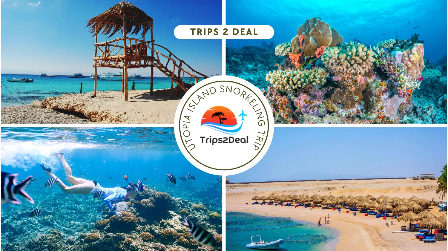 Excursión de snorkel de un día a la isla de Utopía desde Hurghada