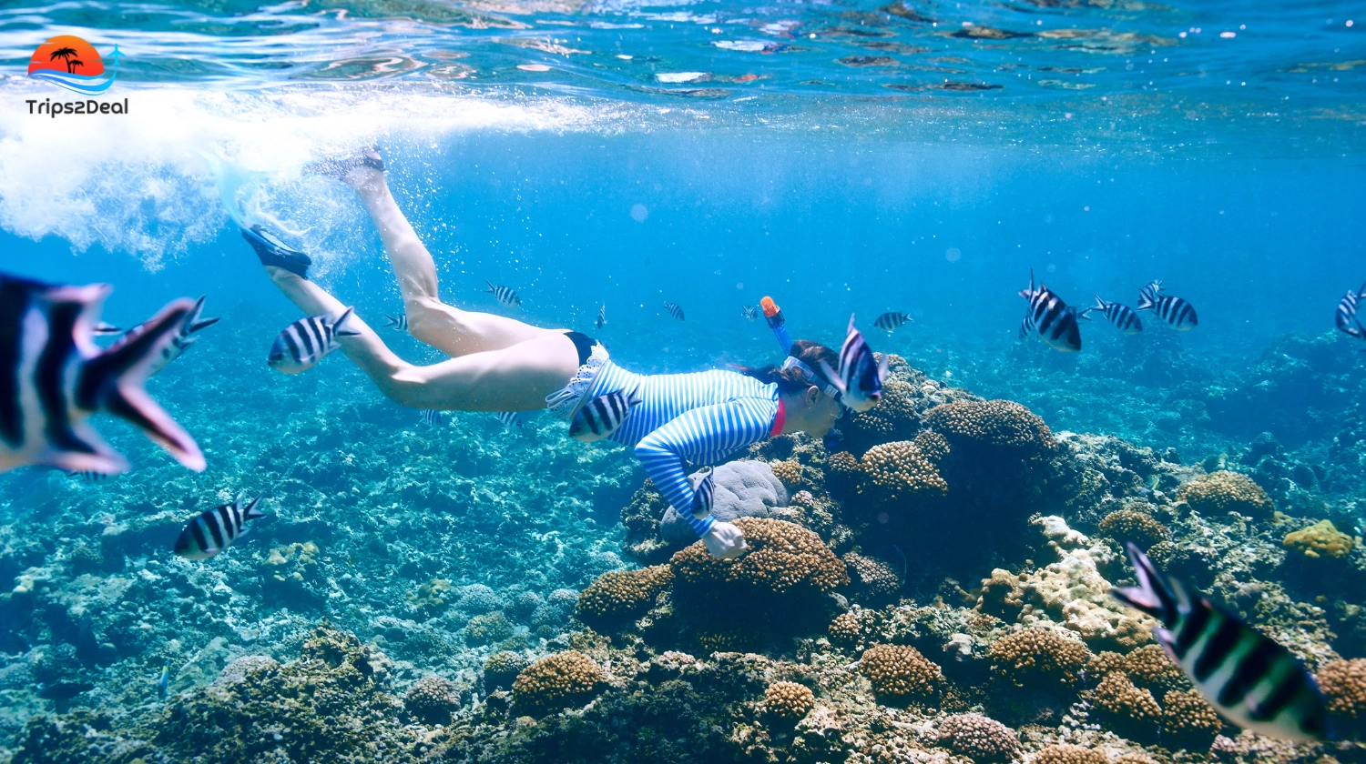 Hurghada : Excursion d'une journée en bateau privé avec plongée en apnée et déjeuner