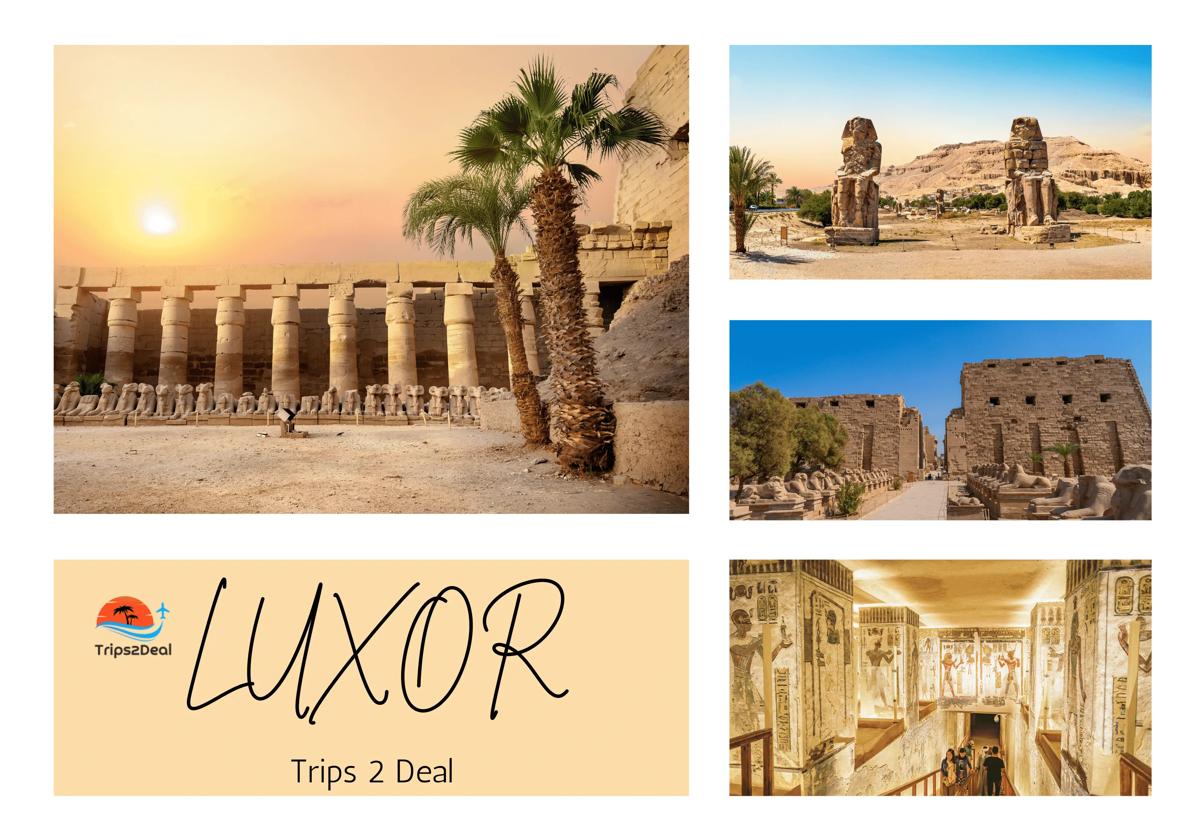 A day tour by plane from Cairo to Luxor