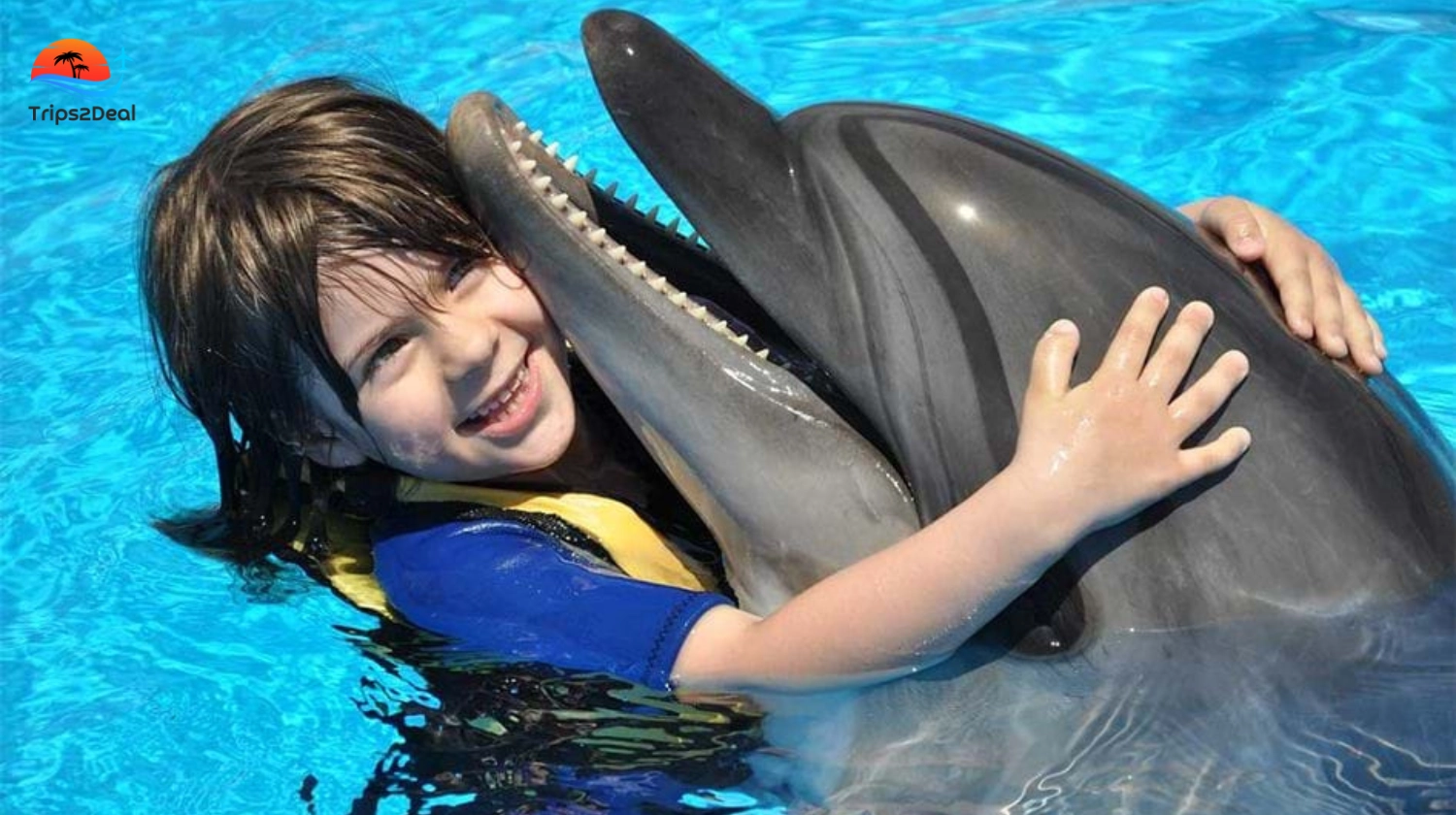 1 Stunde Show in der Dolphin World mit Hotelabholung