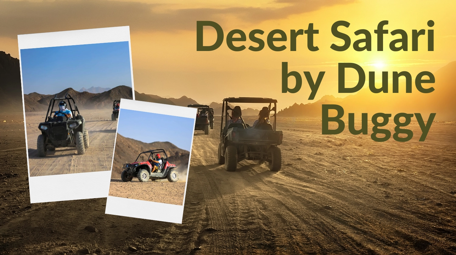 Hurghada: Sunset Desert Safari by Dune Buggy