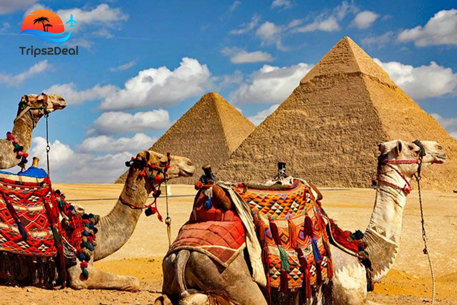 Hurghada: Gita di un giorno al Cairo e a Giza con pranzo Piccolo gruppo Max 8