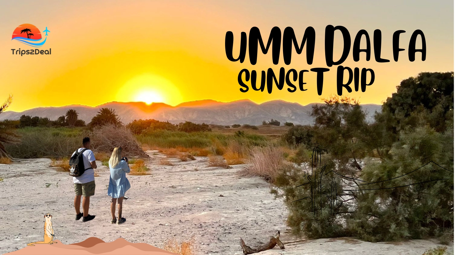 Sunset Trip to Umm Dalfa Bedouin Village