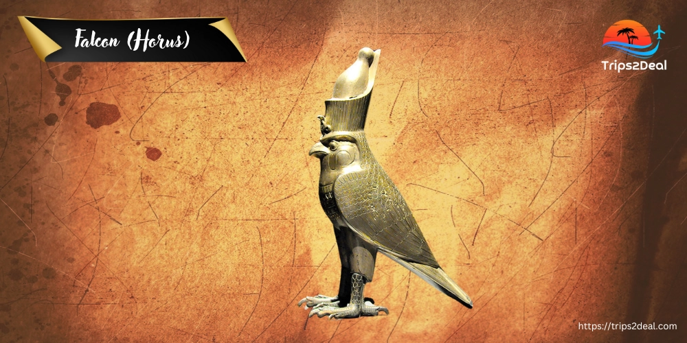 Falcon (Horus) symbol