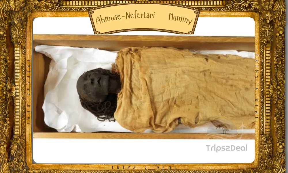 Ahmose-Nefertari Mummy