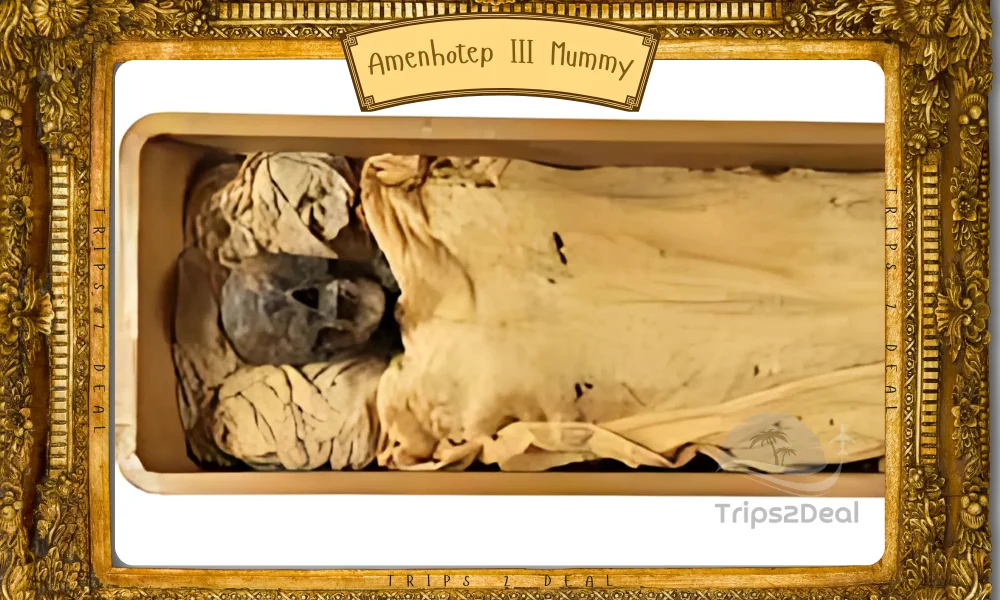 Amenhotep III Mummy