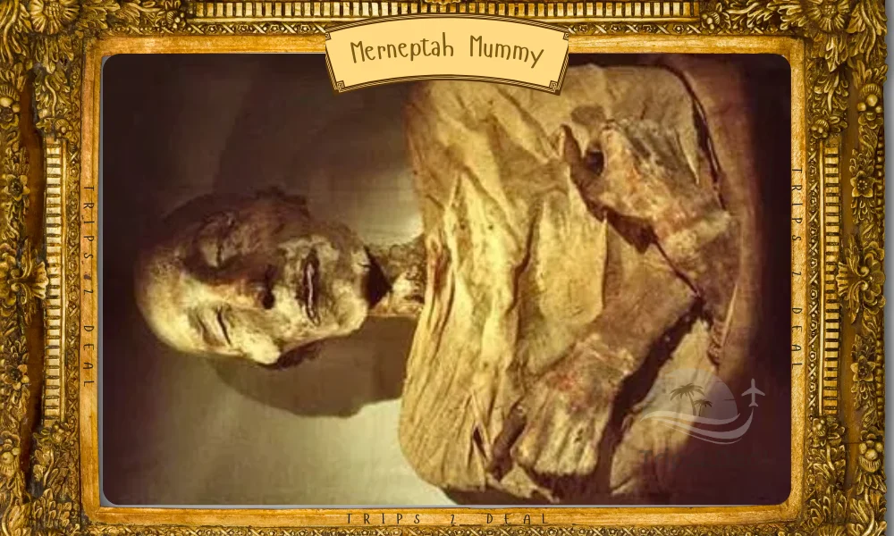 Merneptah Mummy