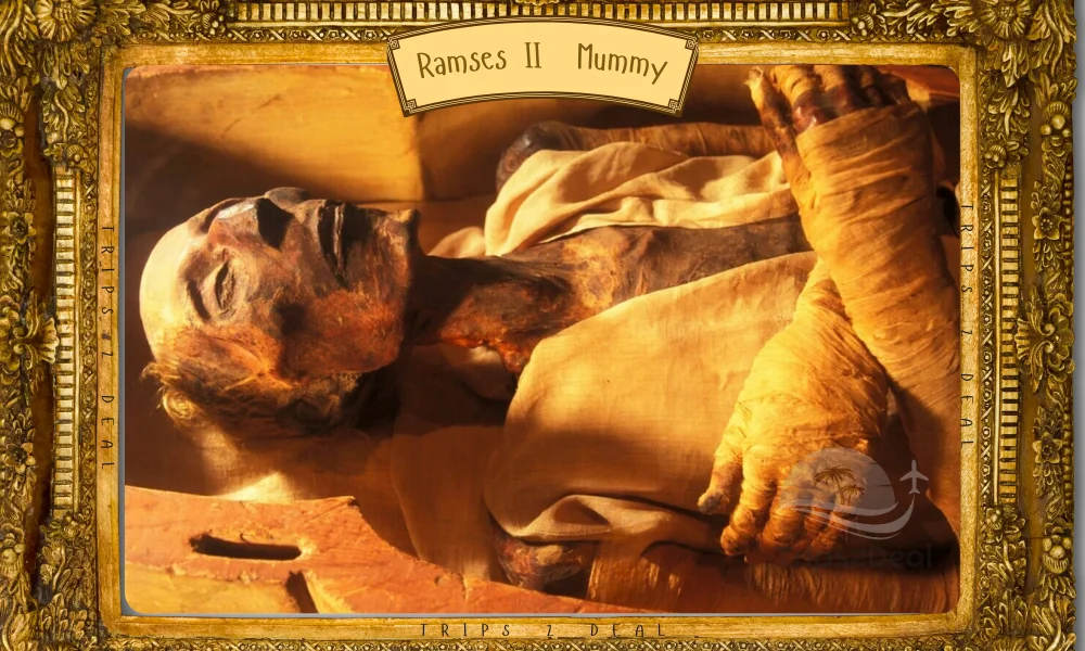 Ramses II Mummy