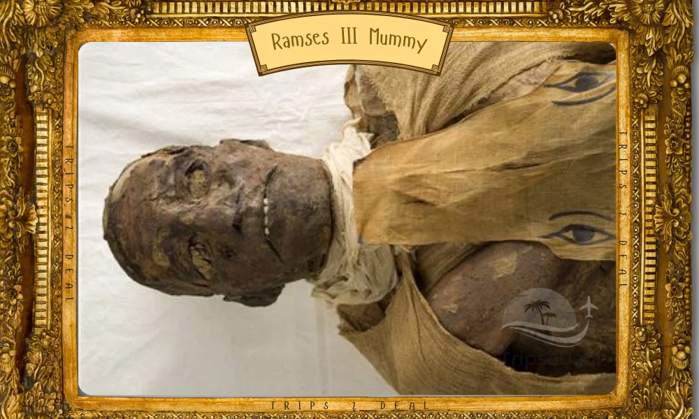 Ramses III Mummy