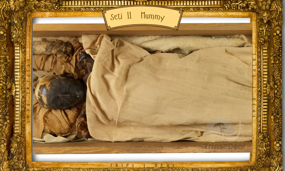 Seti II Mummy