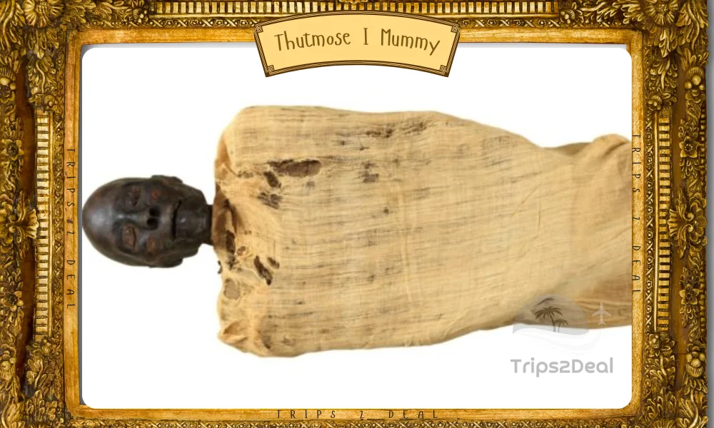 Thutmose I Mummy