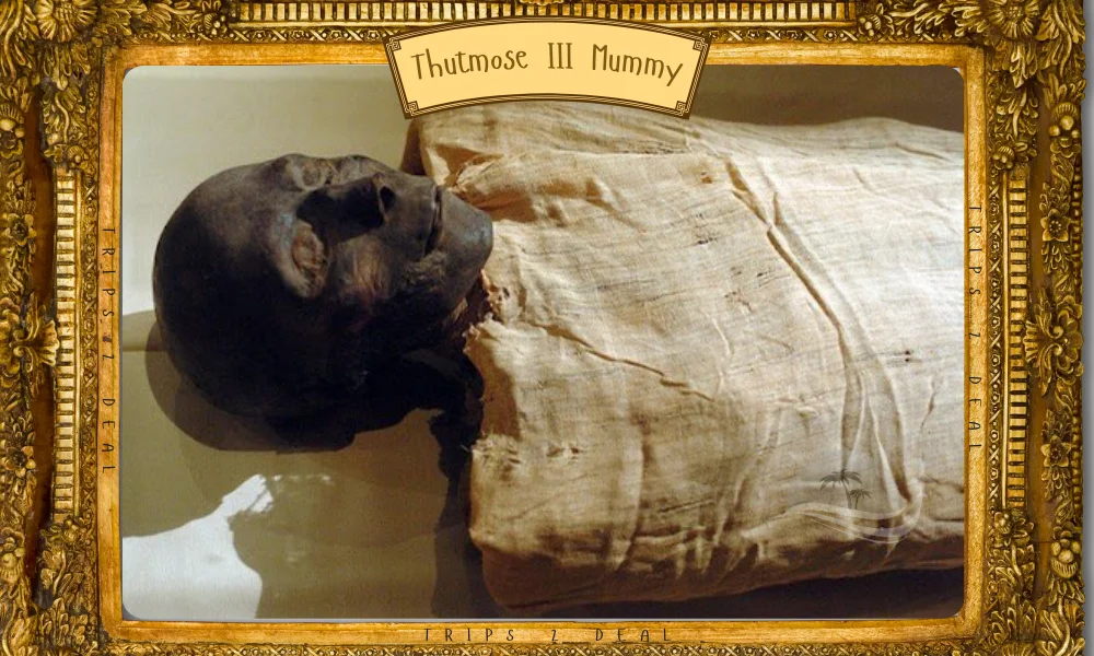 Thutmose III Mummy