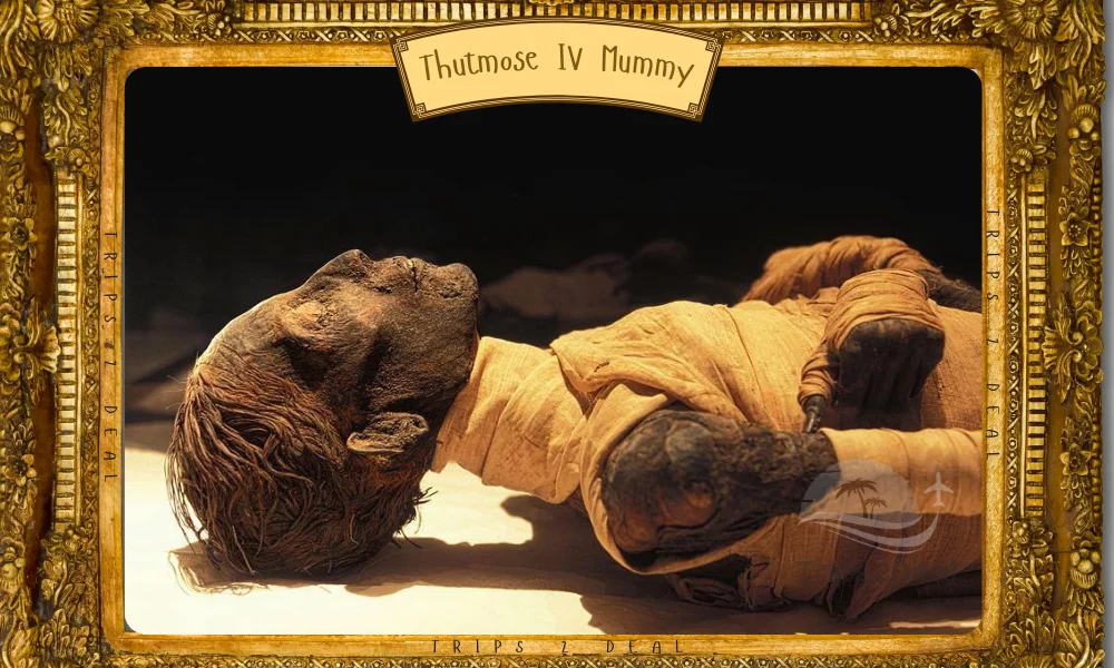 Thutmose IV Mummy