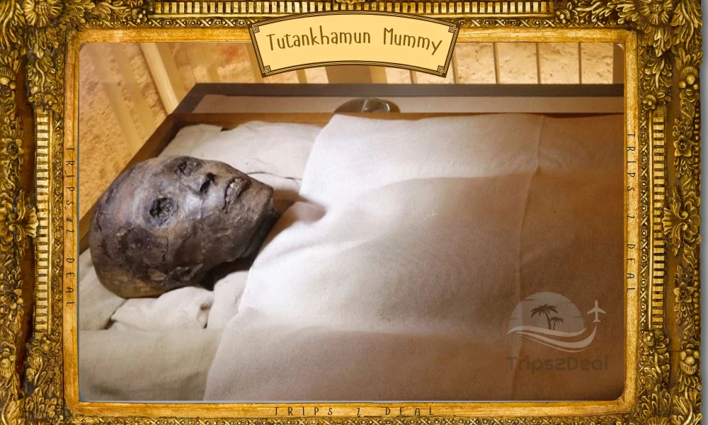 Tutankhamun Mummy