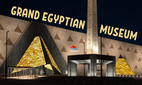 Day Tour To Grand Egyptian Museum & Giza Pyramids