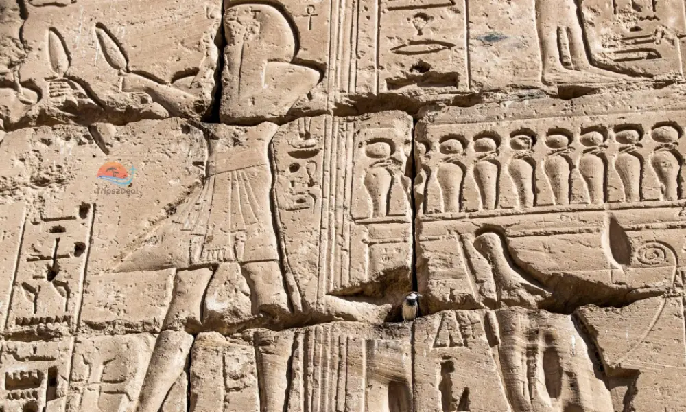 cravings on Medinet habu