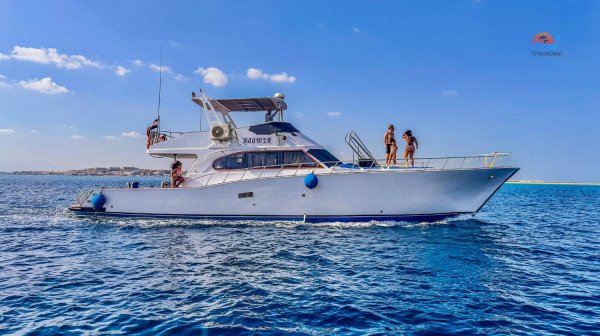 Private Boat Full-Day Snorkeling Trip for Small Group