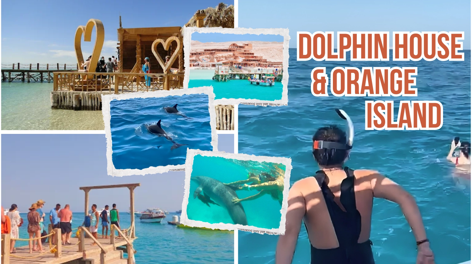 Ausflug mit dem Schnellboot zur Orange Island und zum Delfinhaus