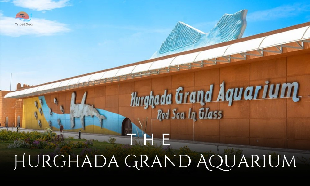 Großes Aquarium von Hurghada