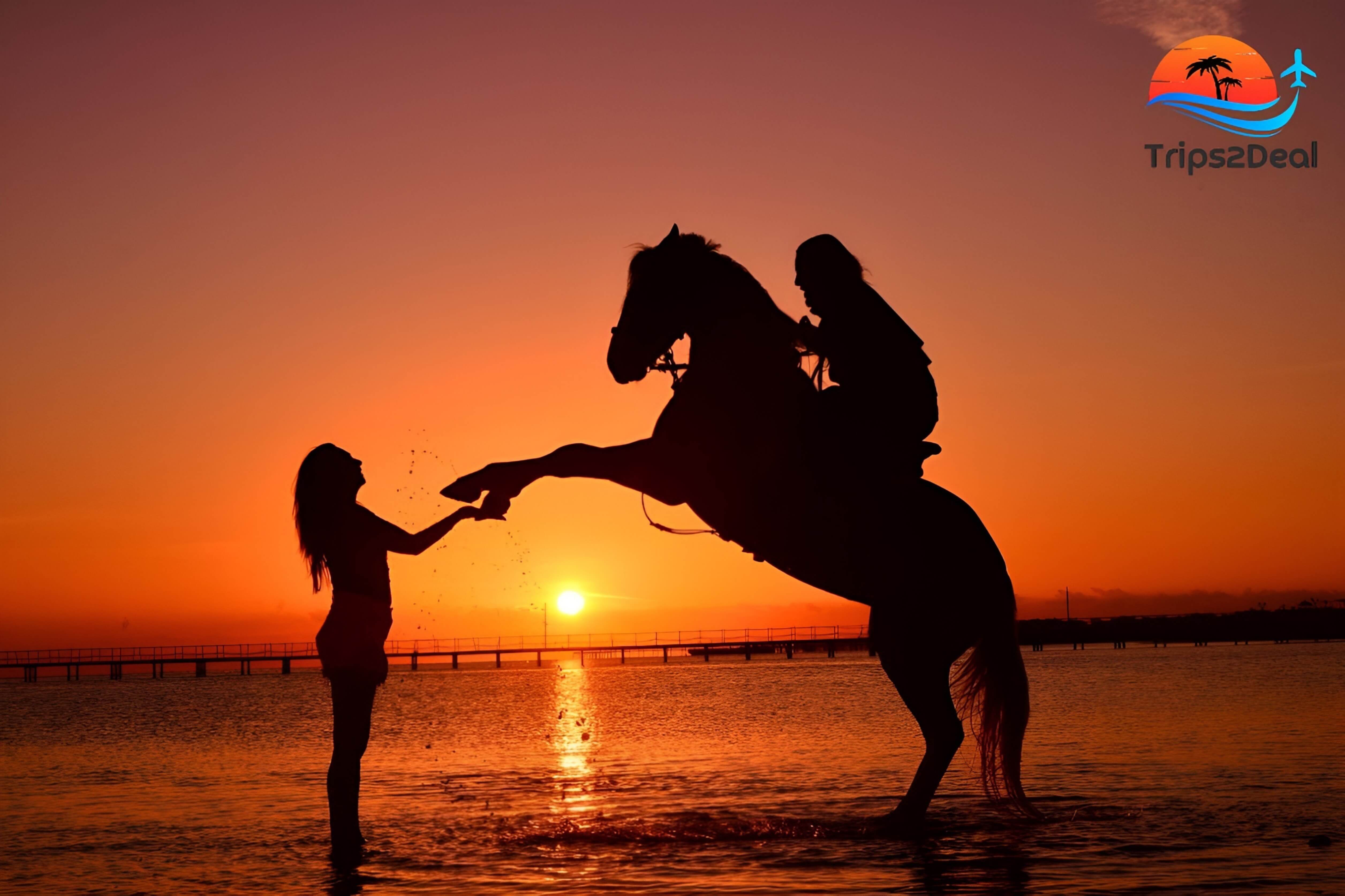 Hurghada: Excursión a caballo con baño