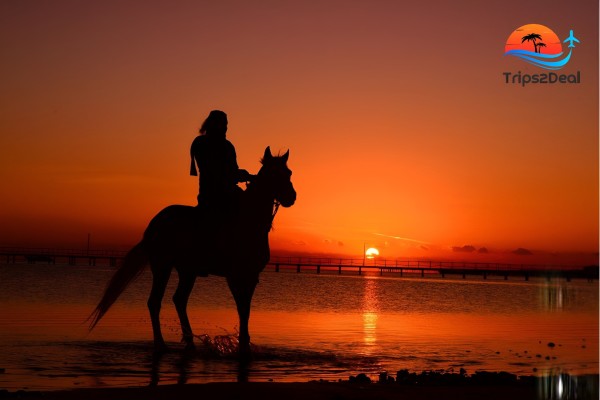Hurghada: Gita a cavallo con bagno