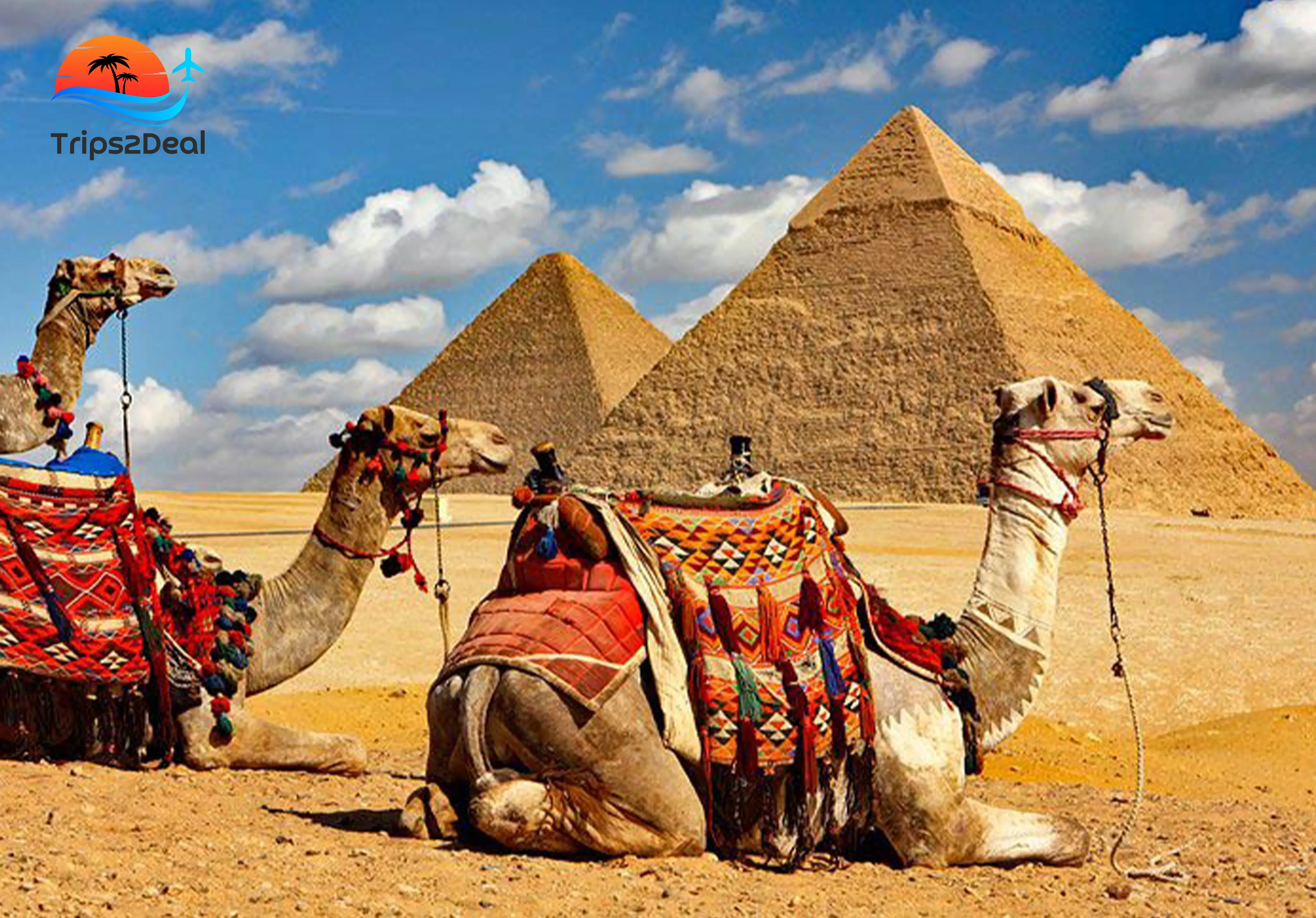 Hurghada: Gita di un giorno al Cairo e a Giza con pranzo Piccolo gruppo Max 8