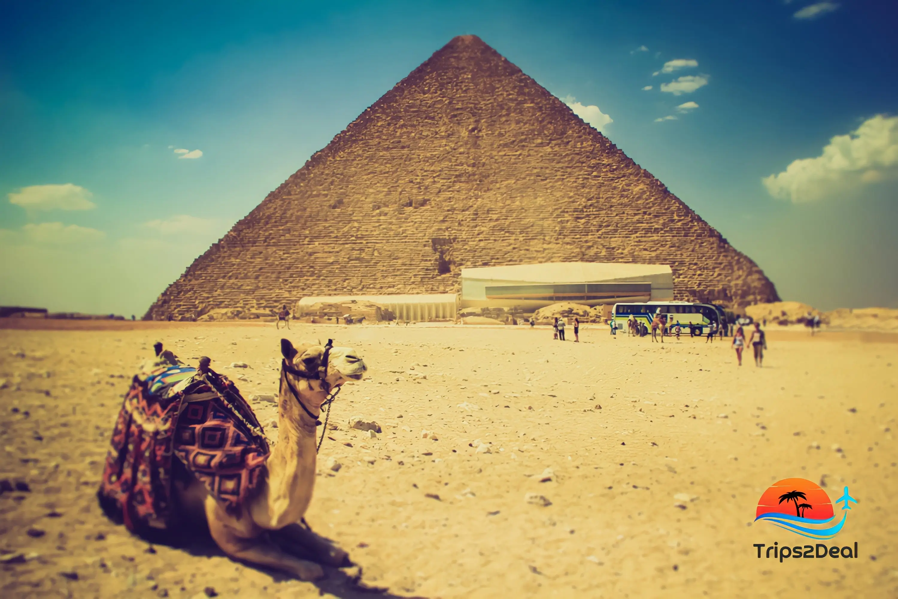 Enjoy a Camel Ride at the Giza Pyramids