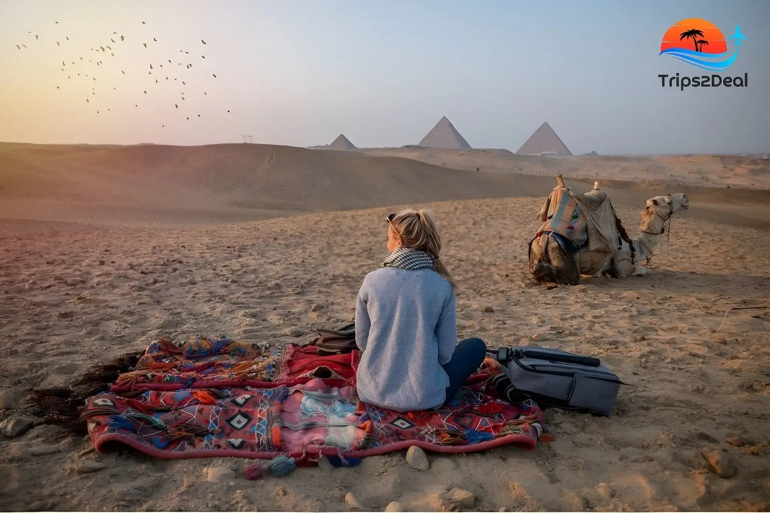 A Day Trip of Cairo and the Pyramids by Bus from Sharm El-Sheikh