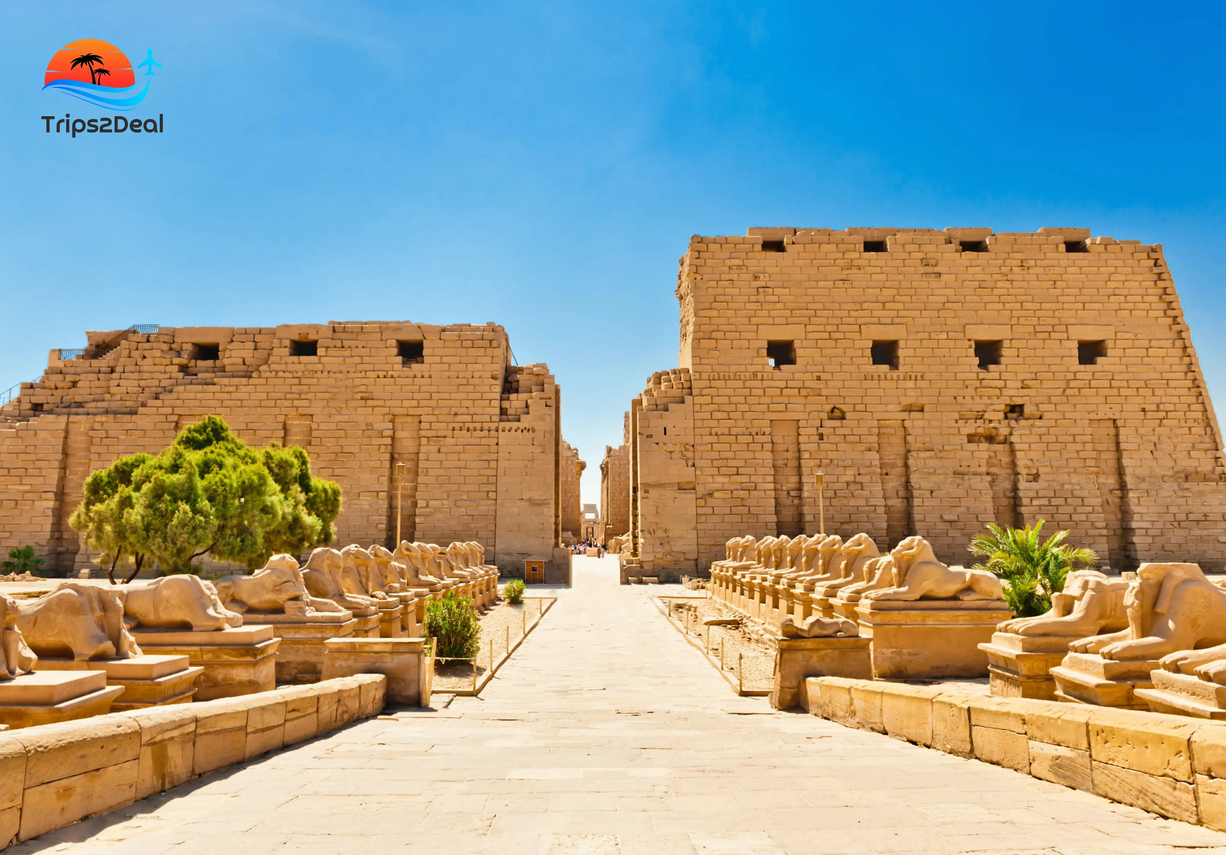 Excursión de un día a Luxor desde Asuán