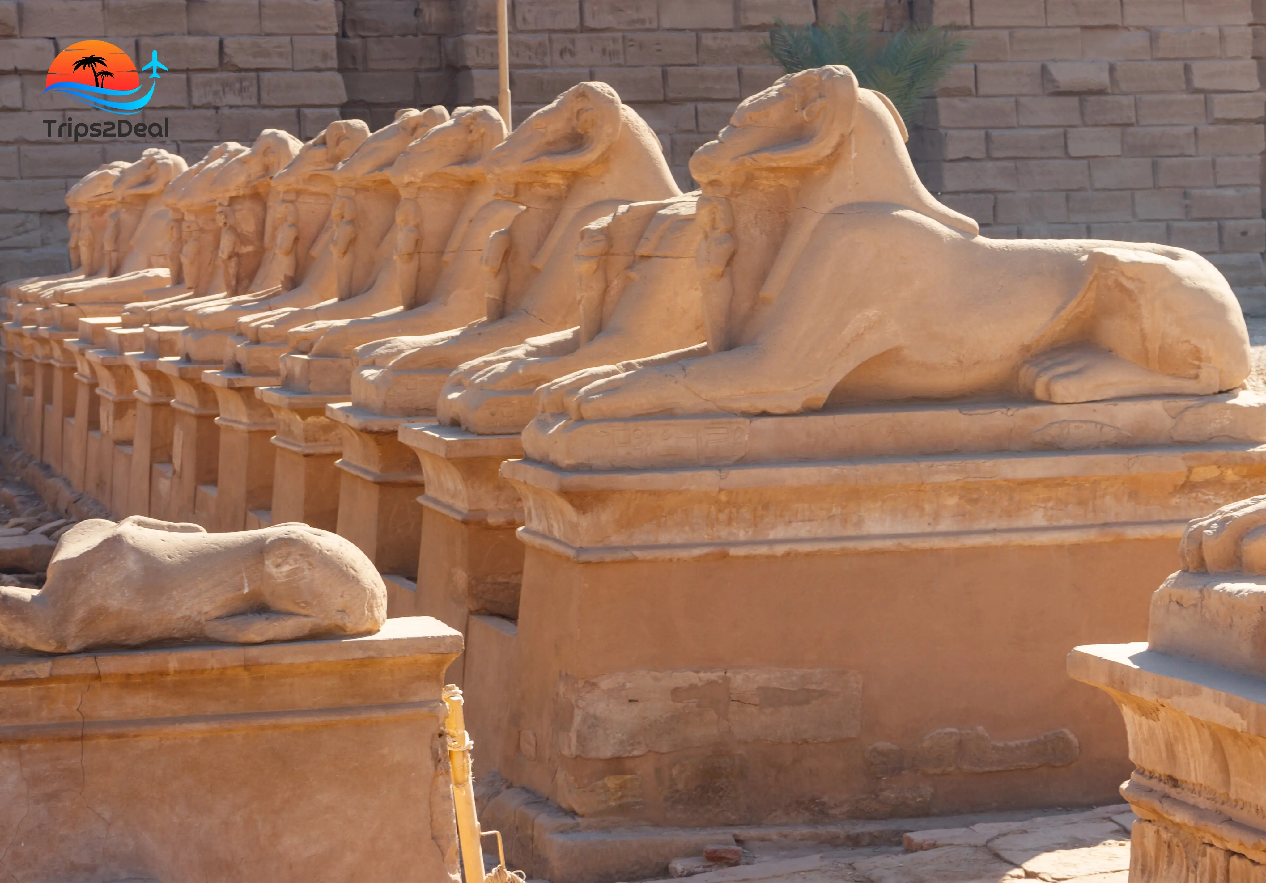 Day trip to Karnak and Luxor Temples